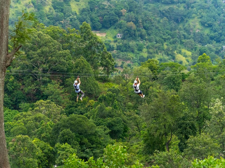 Pai: Jungle Ziplining Adventure with 16 Platforms - The 550m Moment: Why the Long Zipline Is the Point