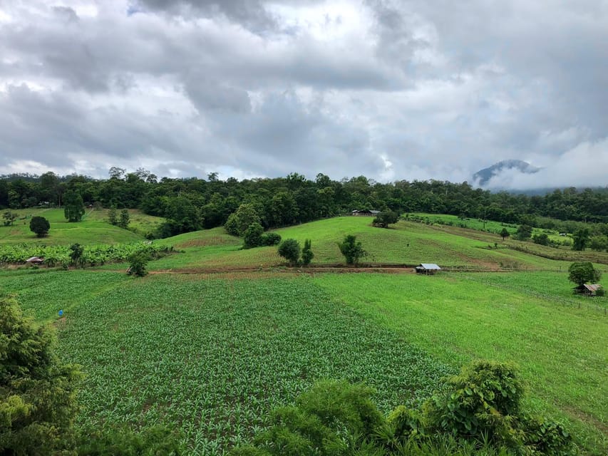 Pai: Ultimate Ziplining Adventure through the Jungle - Private vs Shared Tours: Which Choice Fits Your Mood?