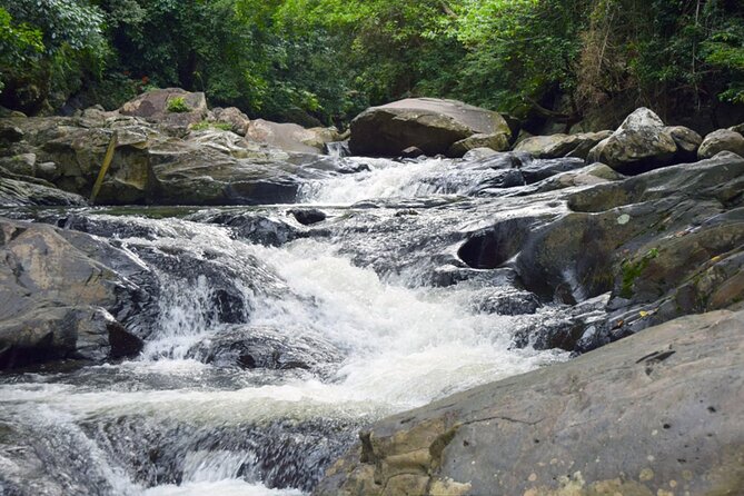 Pala U Waterfall in Kaeng Krachan Jungle with Private Guide from Hua Hin - The road into Kaeng Krachan: when the park shows itself early
