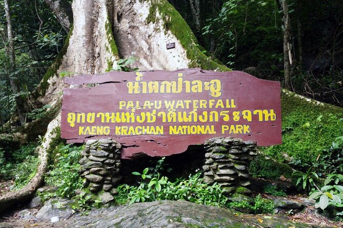 Pala U Waterfall in Kaeng Krachan Jungle with Private Guide from Hua Hin - Lunch, water, and entrance fees: the value math behind $112.94