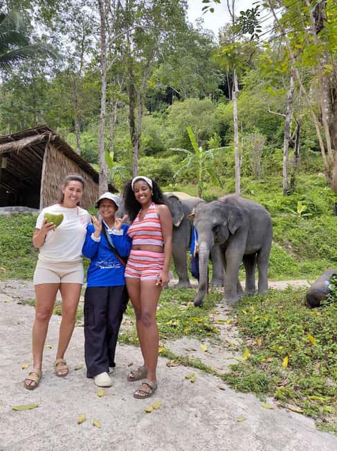 Patong: Elephant Nature Park Learning & Feeding Tour - Key highlights worth your attention