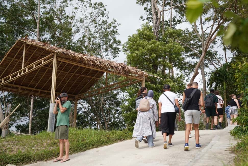 Patong: Elephant Sanctuary Eco Guide Walk & Forage Tour - Price and value: is $35 a good deal here?