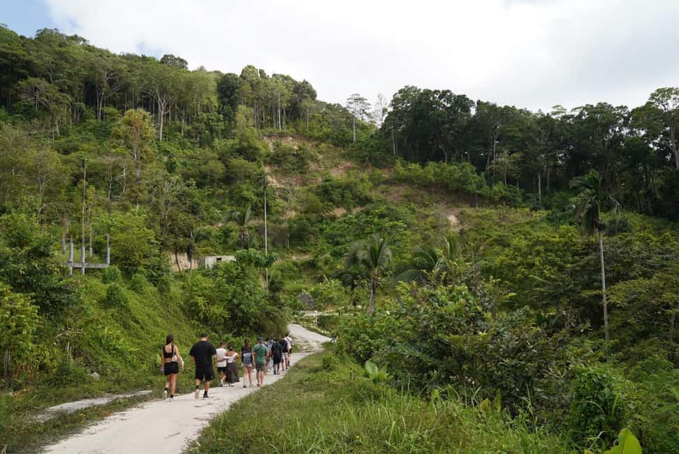 Patong: Elephant Sanctuary Eco Guide Walk & Forage Tour - Logistics: meeting point timing and the no-toilet reality