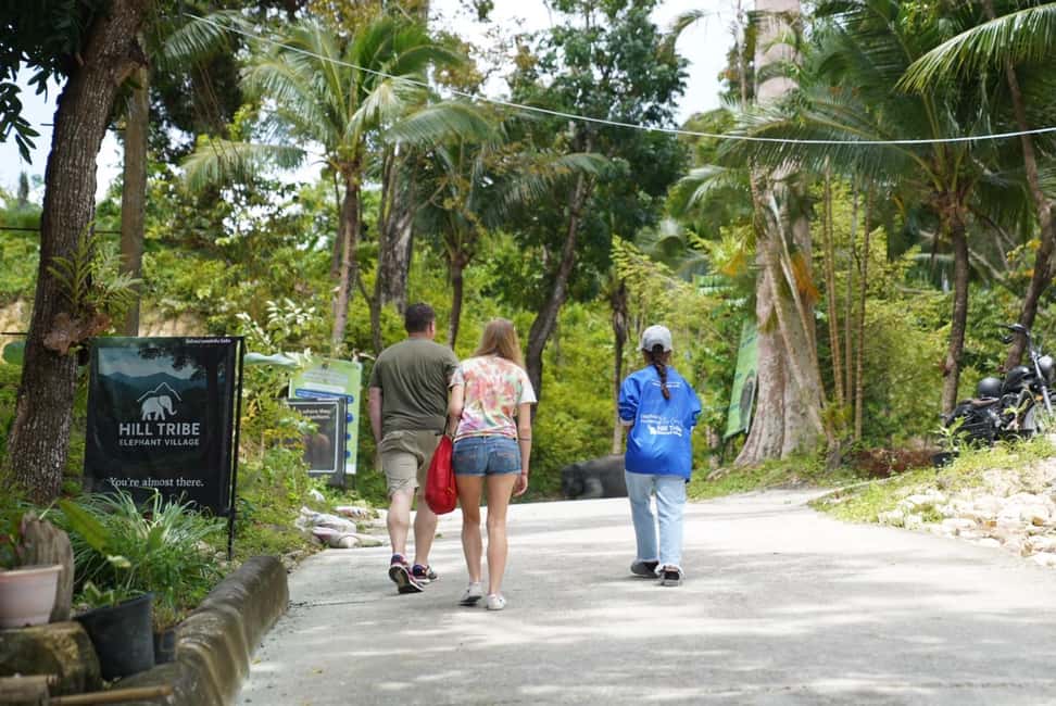 Patong: Elephant Sanctuary Eco Guide Walk & Forage Tour - Who this elephant sanctuary tour is best for