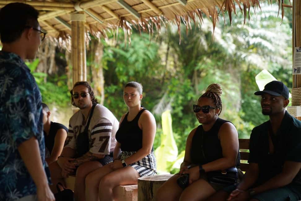 Patong: Elephant Sanctuary Walk Tour with Hotel Transfer - The Jungle Walk: Learning Elephant Behavior in Real Time