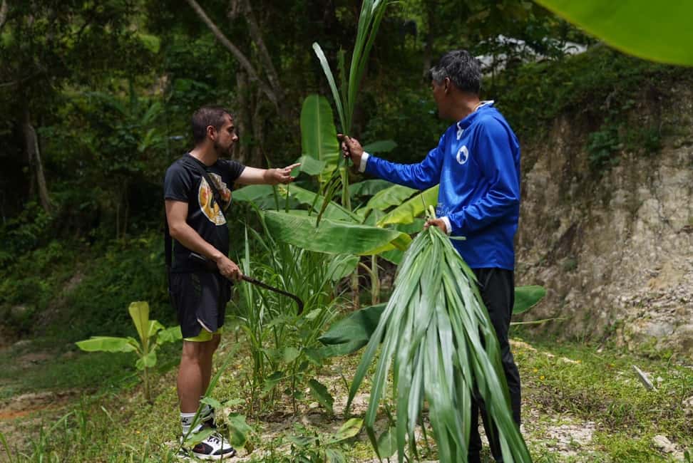 Patong: Elephant Sanctuary Walk Tour with Hotel Transfer - Price and Value: Is $43 a Fair Deal?