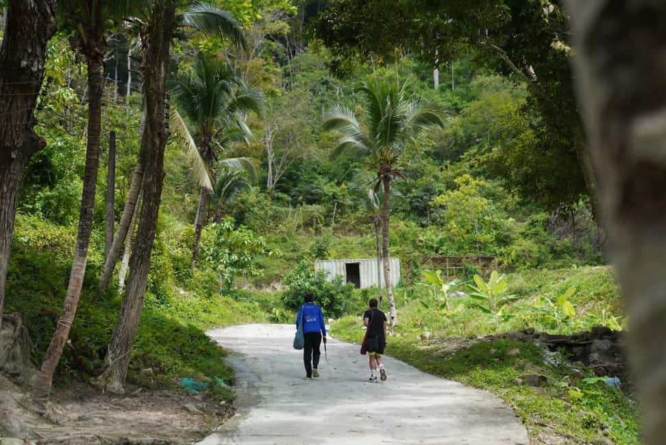 Patong: Elephant Sanctuary Walk Tour with Hotel Transfer - Who This Tour Is Best For