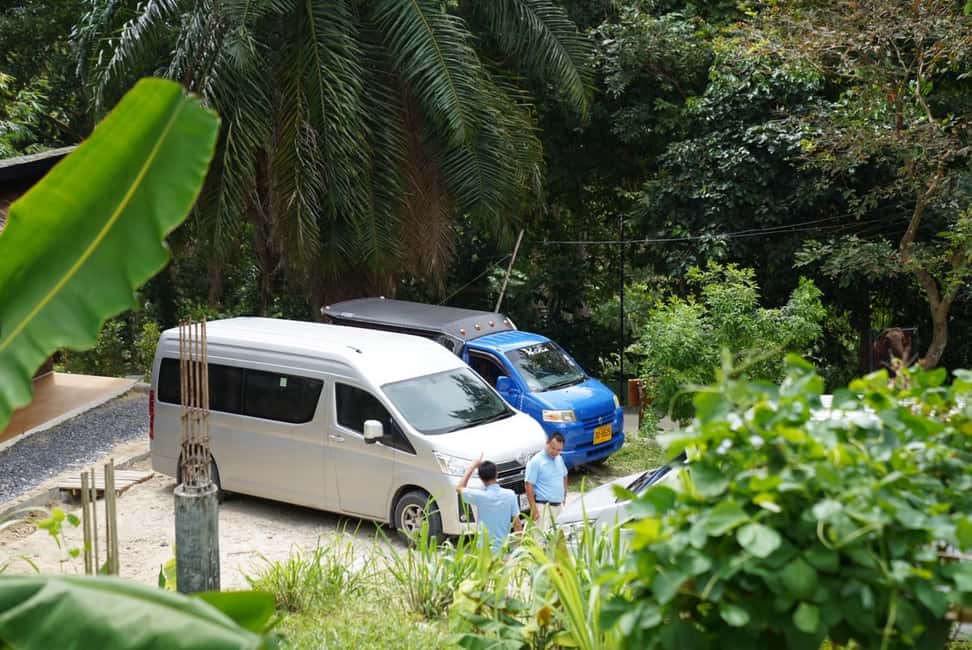 Patong: Elephant Sanctuary Walk Tour with Hotel Transfer - Meeting the Care Team and the Elephants Up Close