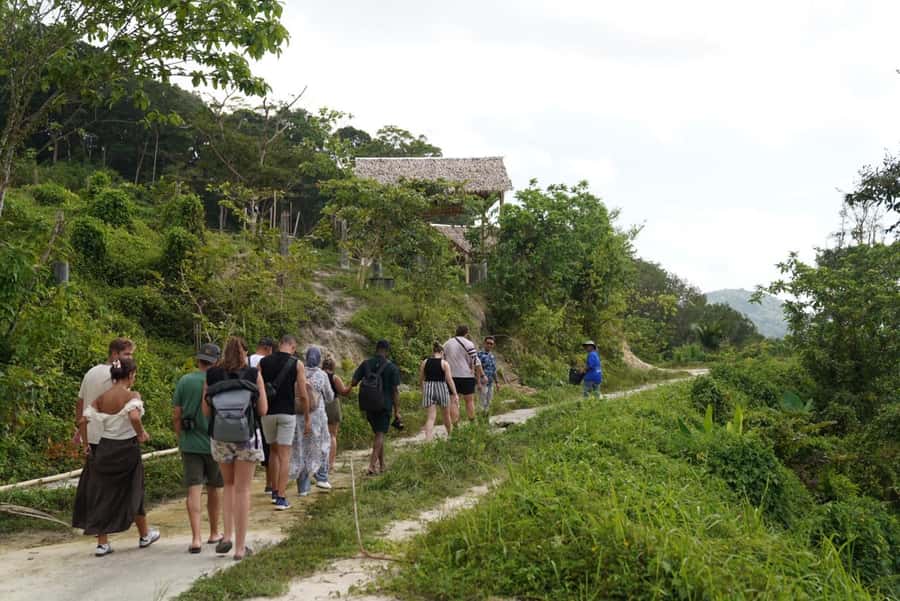 Patong Highlights: Elephant Sanctuary Tour with Transfer - The 2.5-hour flow: elephant stories, herbal medicine balls, then a forest walk