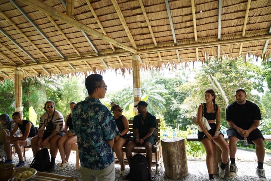 Patong Highlights: Elephant Sanctuary Tour with Transfer - Small-group vibes and guide communication