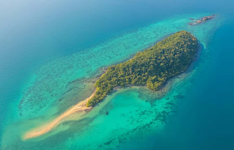 Pattaya: 3 Islands Day Tour on Catamaran with Buffet Lunch - Monkey Island feeding: the fun stop with real-world animal rules
