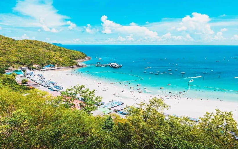 Pattaya: Coral Island (Koh Larn) Day Trip with Seafood Lunch - Logistics That Actually Matter: What to Bring and What Not to