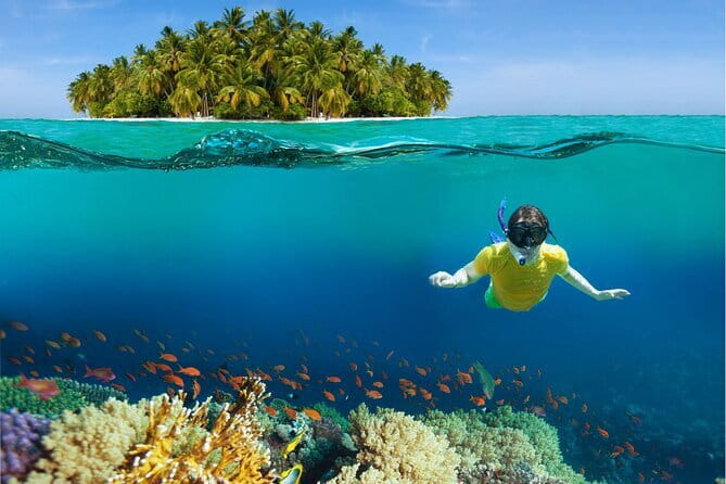 Pattaya: Coral Island Tour with Water Sports, Lunch & Pickup Drop - The Koh Larn lunch stop: fuel for snorkeling and rides