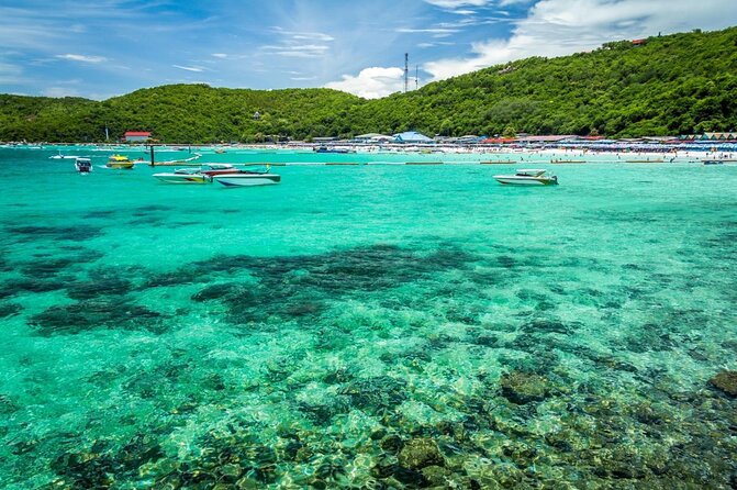 Pattaya: Coral Island-Trip with Lunch and activities your choice by Speed Boat - Key things I’d watch for before you go