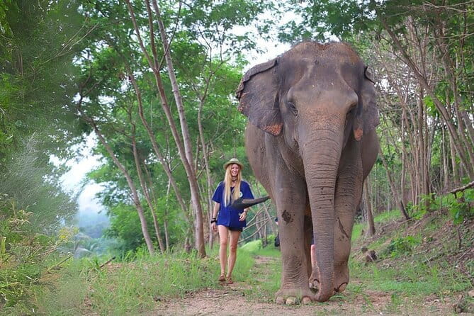 Pattaya Discovery Tour with Floating Market - Big Buddha Temple Choice: Laser Buddha Mountain or Kai Chi Chan