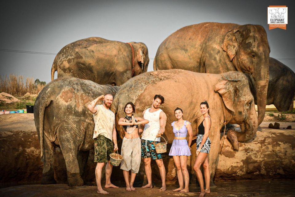 Pattaya: Elephant Jungle Sanctuary Feeding Experience - The Flow of Your Visit: From Reception to Soft Drink