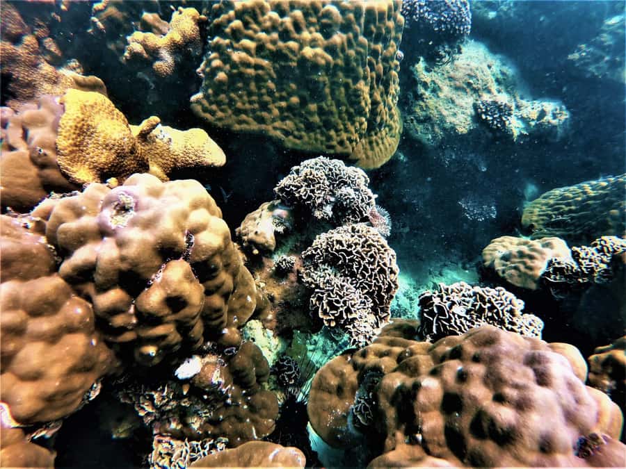 Pattaya: Full-Day 2 Islands Yacht Trip with Lunch and Sunset - Koh Phai in Mu Ko Phai Marine Park: Snorkel, Slide, and Paddleboard