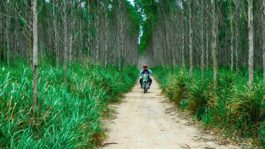 Pattaya: Half-Day Guided Enduro Tour with Meal - Price and Time: What You’re Really Paying For