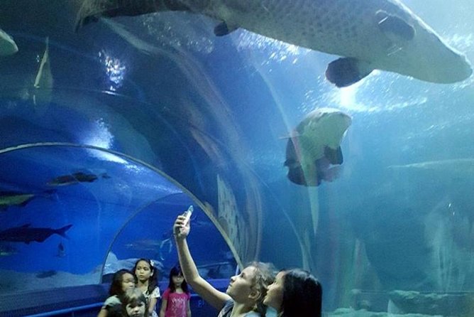 PATTAYA: Join Tour Under Water World Pattaya - The “how it looks” part you’ll remember