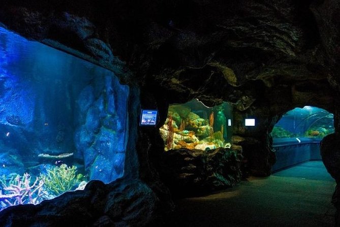 PATTAYA: Join Tour Under Water World Pattaya - Key takeaways before you go
