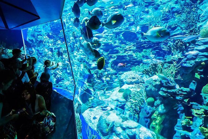 PATTAYA: Join Tour Under Water World Pattaya - Snakes, Lizards, and the Reptile Areas (Don’t Miss the Timing)