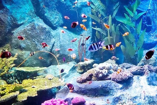 PATTAYA: Join Tour Under Water World Pattaya - What You’re Actually Buying in This Pattaya Aquarium Tour