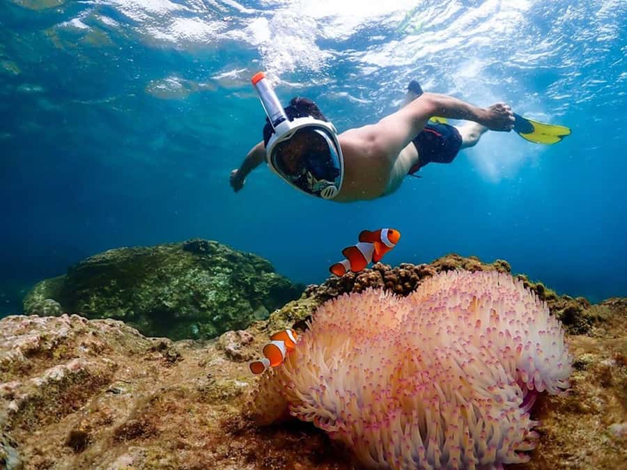 Pattaya: Nemo Island Experience with Drone Photos and Lunch - Getting from Pattaya: van pickup, a Khao Chi Chan stop, then speedboat time