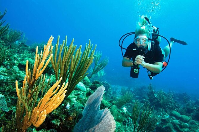 Pattaya PADI Beginner Scuba Diving One Try Dive Depth 6 Meters and Snorkeling ) - The Coral Reef Swim: Marine Life, Controlled Time, and Better Confidence