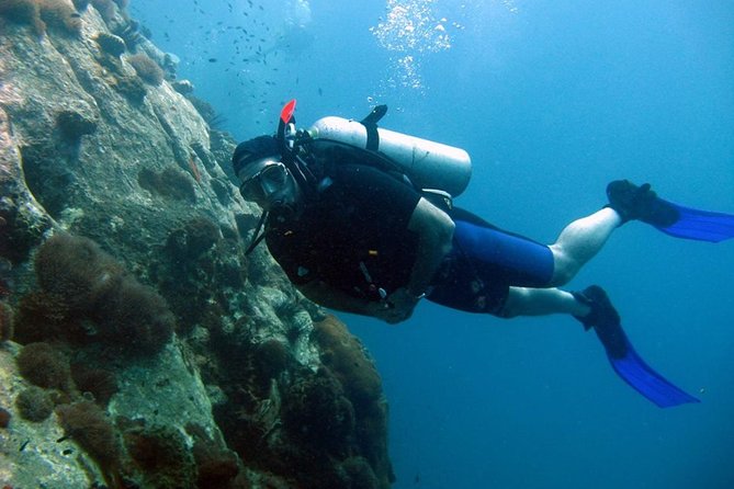 Pattaya PADI Scuba Diving Two Exciting Try Dives with PADI Instructor in Pattaya - A 6-hour Pattaya schedule that doesn’t feel rushed