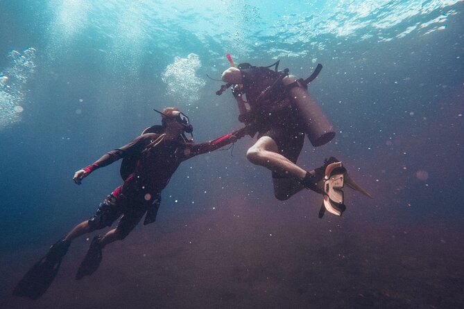 Pattaya PADI Scuba Diving Two Exciting Try Dives with PADI Instructor in Pattaya - Price and value in Pattaya: when $161.58 makes sense