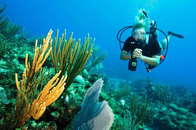 Pattaya PADI Scuba Diving Two Exciting Try Dives with PADI Instructor in Pattaya - Weather and physical readiness: the two things that control your outcome