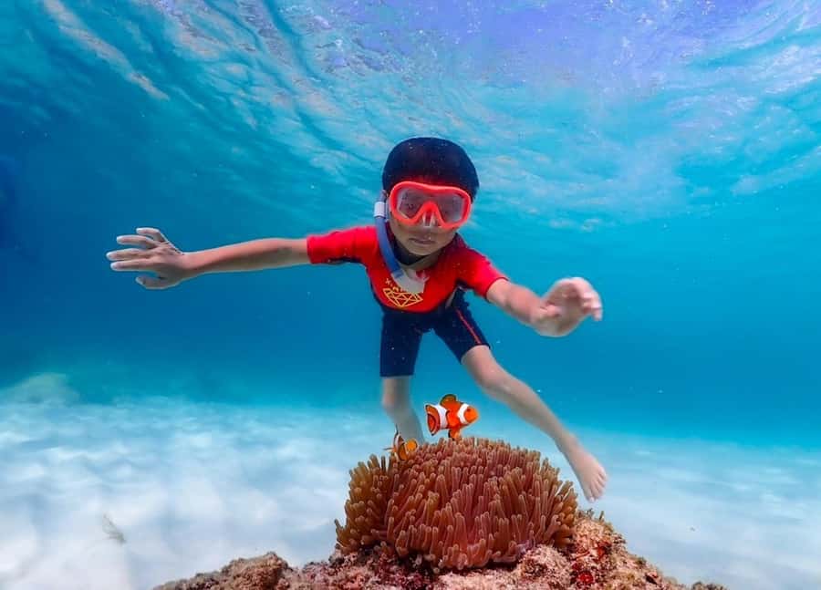 Pattaya: Private Speedboat Nemo Island with Snorkel & BBQ - What to Bring (and What to Skip)
