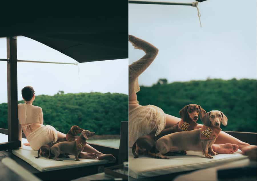 Pattaya: Private Traditional Boat Island Escape in Sattahip - Price and value: $543 per group up to 5 people