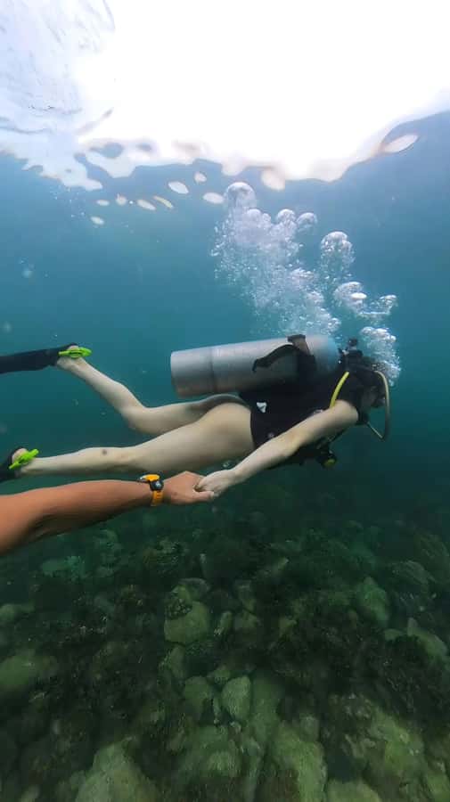Pattaya: Snorkeling or Beginner Scuba Diving Tour with lunch - What to bring, what to skip, and the rules that matter