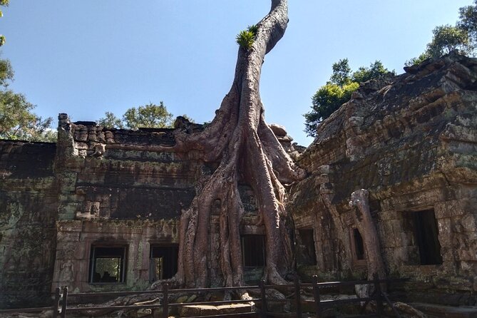 Pattaya to Angkor Wat 2 days 1 night Private tour - Money and visa basics: Poipet realities you can’t ignore