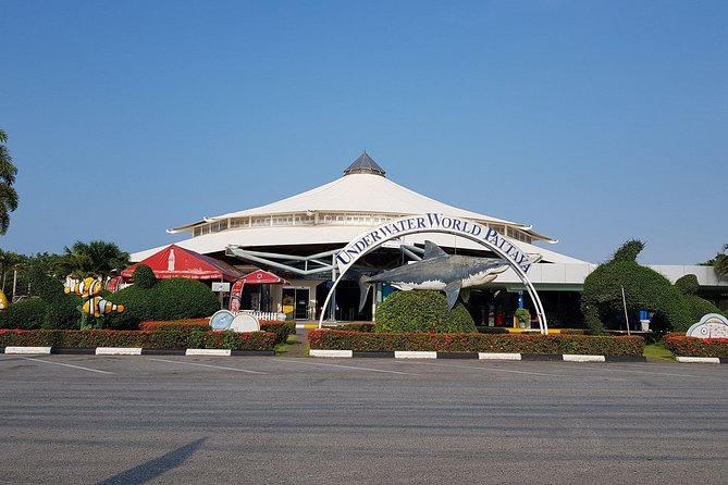 Pattaya Underwater World - Discover Ocean Treasures - The glass tunnel: your best chance at close-up, low-stress photos