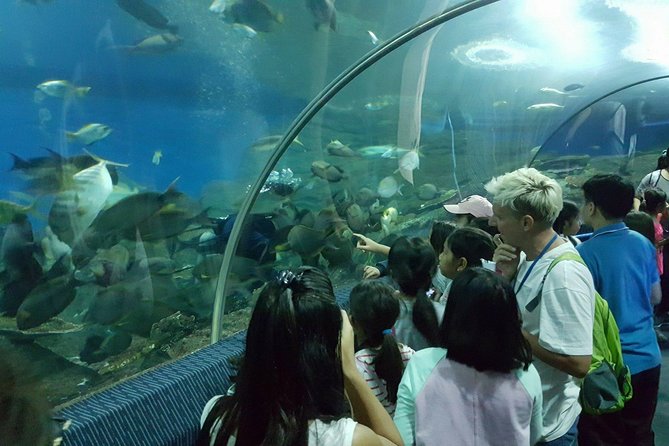 Pattaya Underwater World - Discover Ocean Treasures - Price and value: $15.82 is either a steal or a letdown