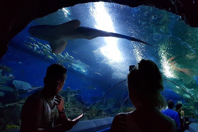 Pattaya Underwater World - Discover Ocean Treasures - Entry and timing: what 1 to 10 hours really means