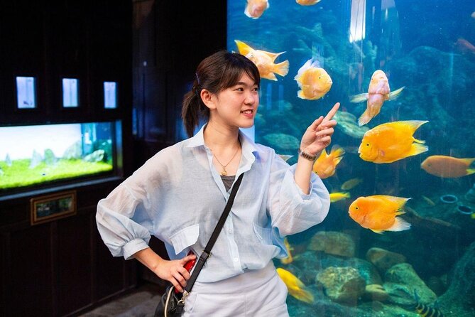 Pattaya Underwater World Tickets with Optional Hotel Pickup - Price and Value: What $12 Really Buys