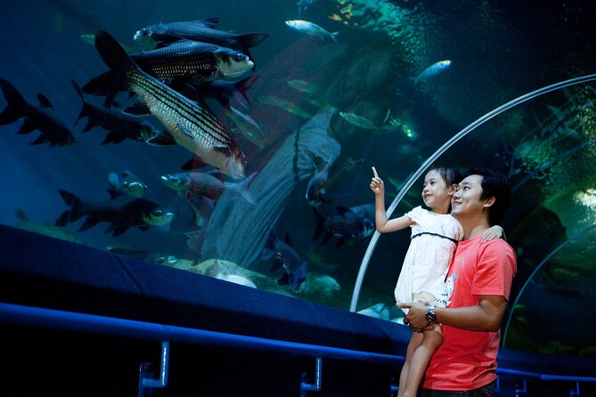 Pattaya Underwater World Tickets with Optional Hotel Pickup - Entering Underwater World: The 100-Metre Glass Tunnel Experience