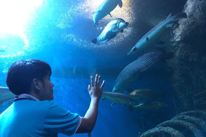 Pattaya Underwater World Tickets with Optional Hotel Pickup - Coral Reef Zone and Shark Encounters (With Photo Rules)