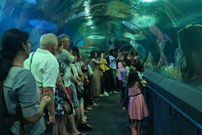 Pattaya Underwater World Tickets with Optional Hotel Pickup - How Long It Really Takes in Your Pattaya Day