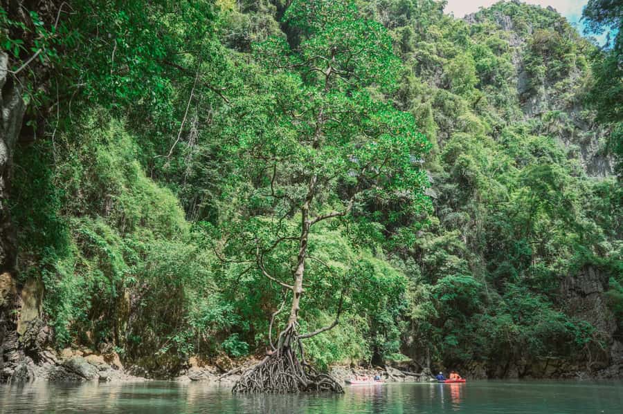 Phang Nga Bay Day Tour & Canoeing by Big Boat (Not crowded) - Who Should Book This Canoe Day (and Who Should Skip It)
