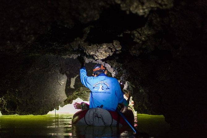 Phang Nga Bay, James Bond Island & Sea Caves Kayaking Tour - Price and what you actually get for $93.58