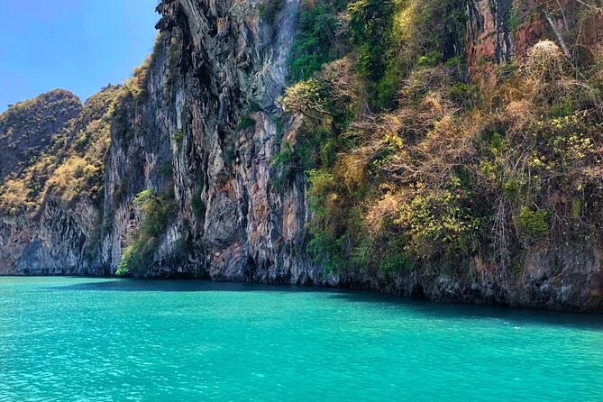 Phang Nga Bay Private Bioluminescence and Sea Canoeing Tour - The bioluminescence session: best conditions, best behavior