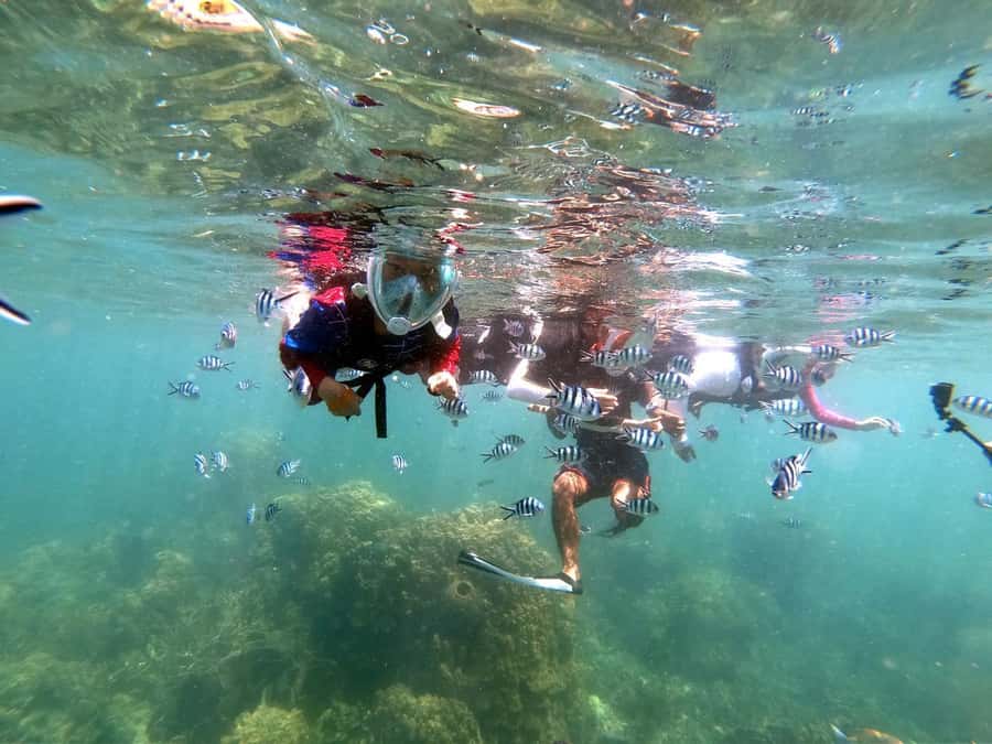 Phi Phi: 4Hrs Bamboo & Phi Phi Tour By Private Longtail Boat - Where You Meet: Mcdonald’s Near Ao Ton Sai Pier (and the Burger King Landmark)