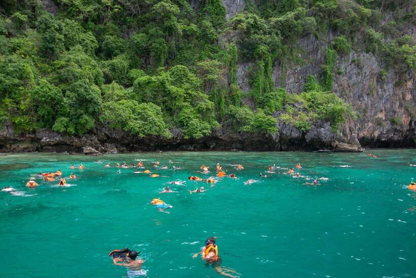 Phi Phi: 7 Islands longtail boat with Sunset and Plankton - Shark Point: Blacktip reef sharks and a controlled snorkel