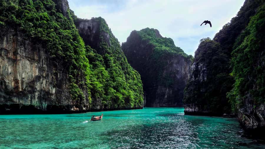 Phi Phi: Exclusive Half Day Longtail Boat to Maya Bay - A half-day longtail route that hits the big Phi Phi moments