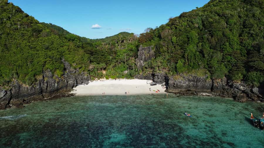 Phi Phi: Guided Jungle Trek & Night Swim with Plankton - Who should book this, and who should skip it