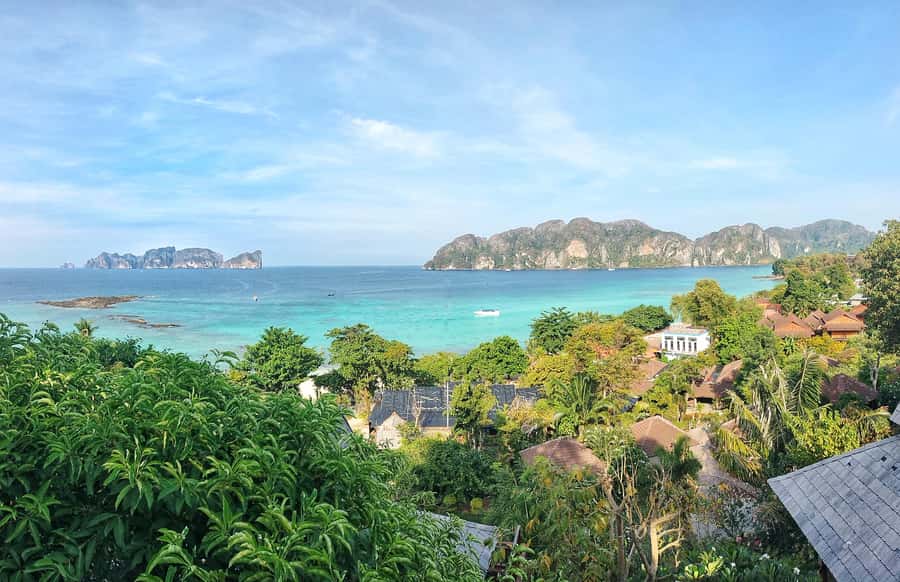 Phi Phi: Guided Jungle Trek & Night Swim with Plankton - Getting started at 1:30 and why you must stay on Phi Phi